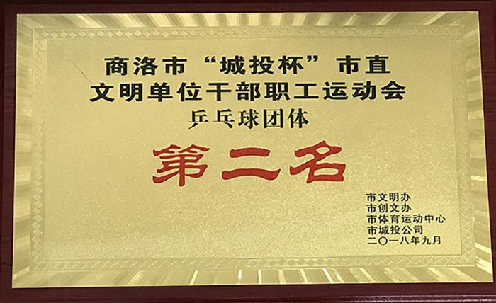 商洛市“城投杯”市直文明单位干部职工远动会品乓球团体第二名