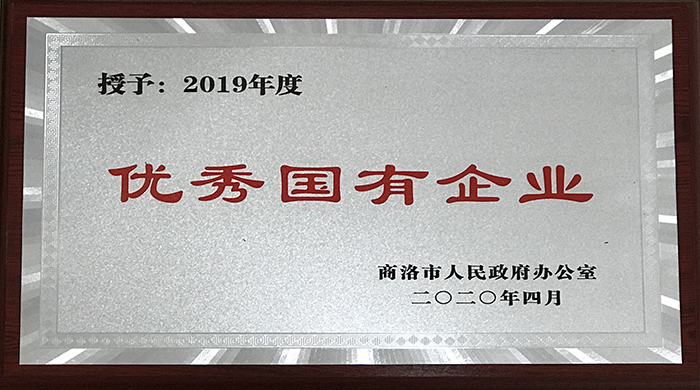 市城投公司荣获2019年度优秀国有企业称号