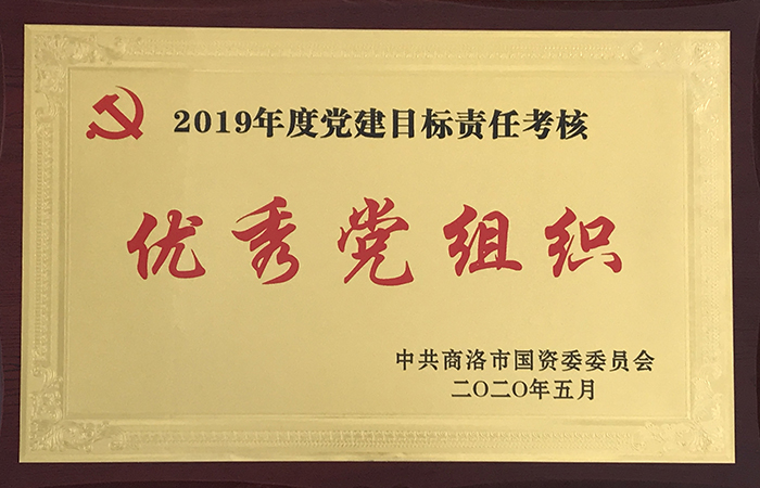 公司2019年党建目标责任考核获上级表彰