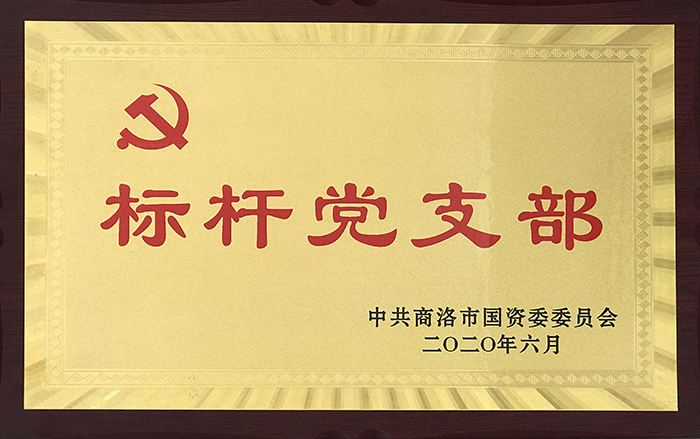 市城投公司第一党支部荣获市国资委党委 “标杆党支部”称号
