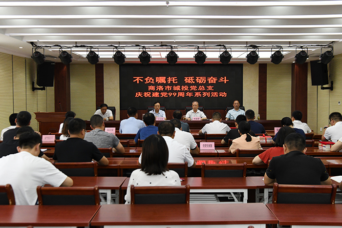 市城投党总支举办“不负嘱托 砥砺奋斗” 庆祝建党99周年系列活动