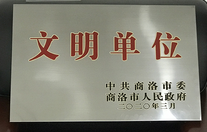 市城投公司荣获2019年度“市级文明单位”称号