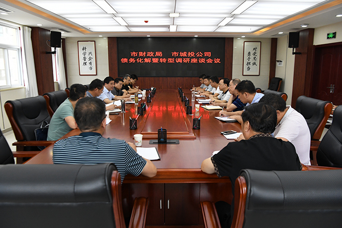 市财政局刘仲林局长一行莅临公司调研债务化解暨转型工作