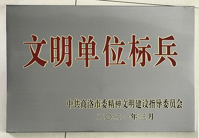 市城投公司成功创建市级文明单位标兵